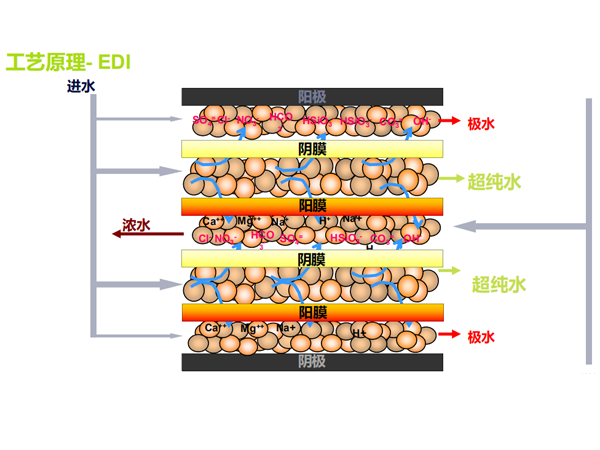 EDI超纯水系统